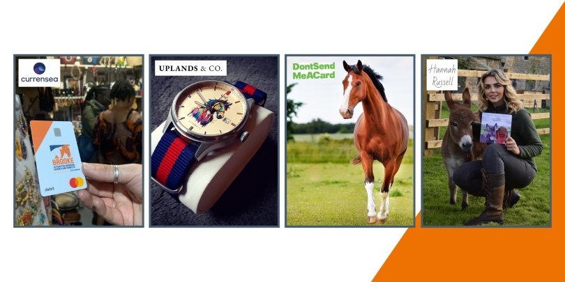 Four separate images in a row - a Brooke credit card, a watch, a horse stood up and a woman crouched next to a donkey.