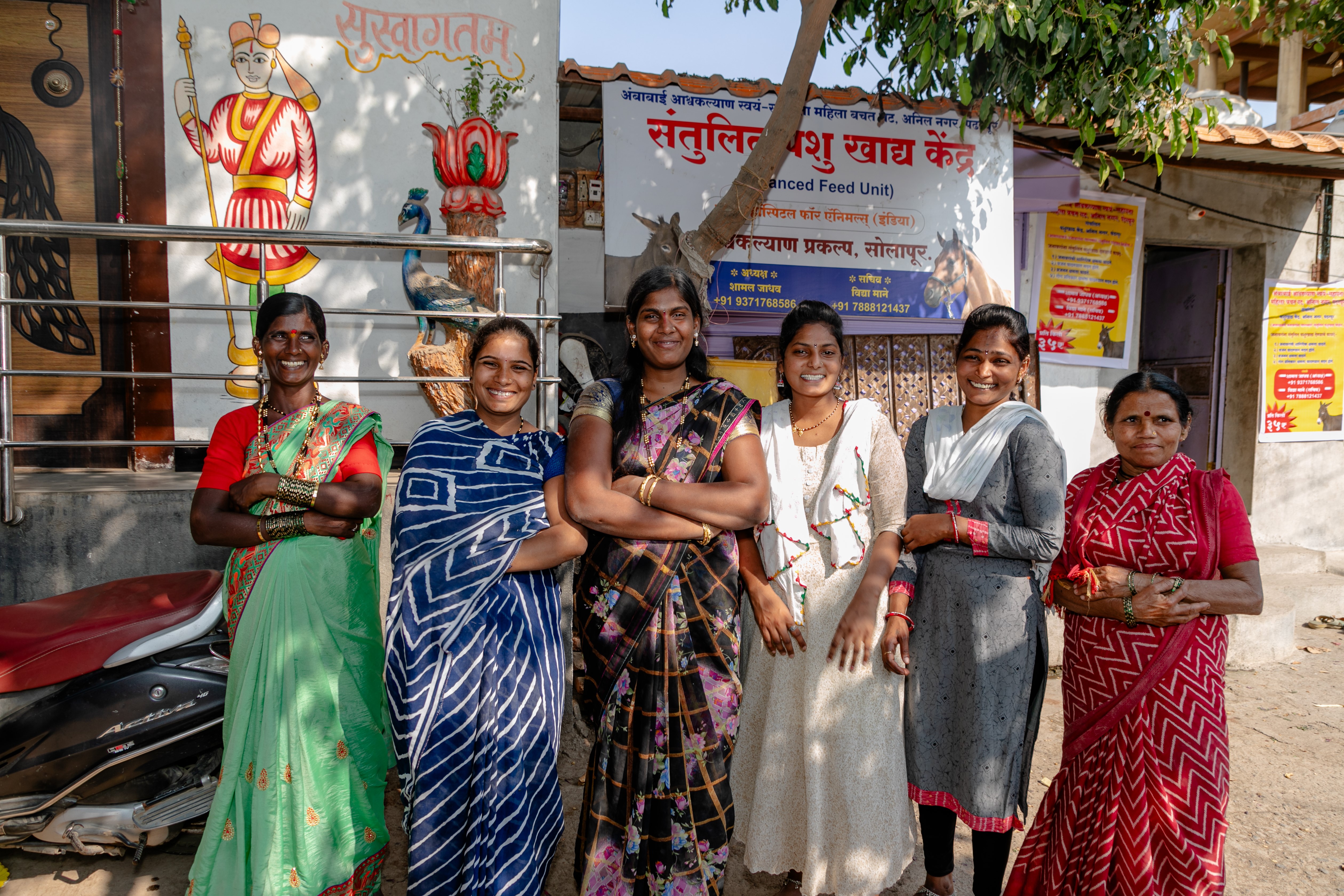 Women's Equine Welfare Group in India