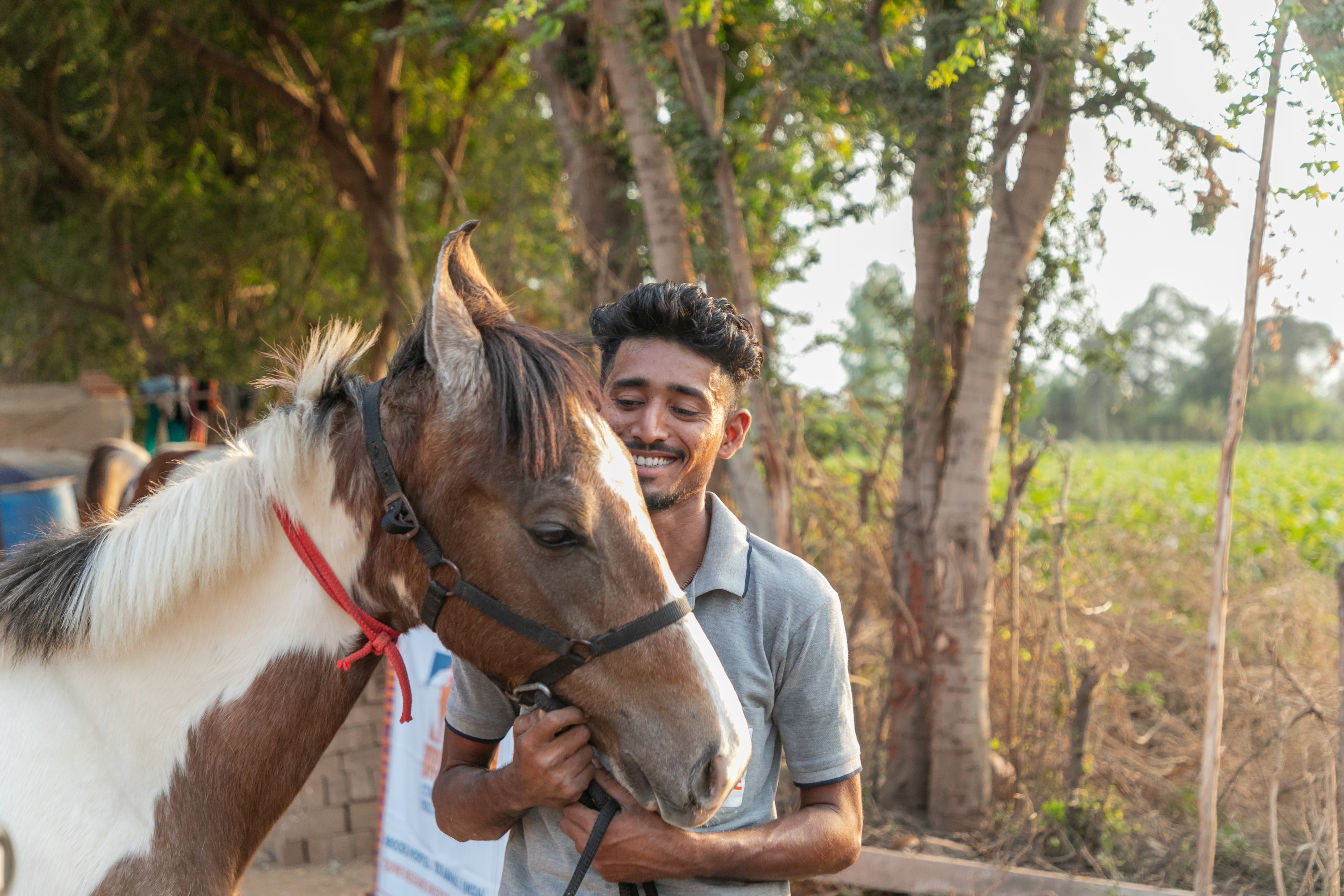 Farrier and horse in India