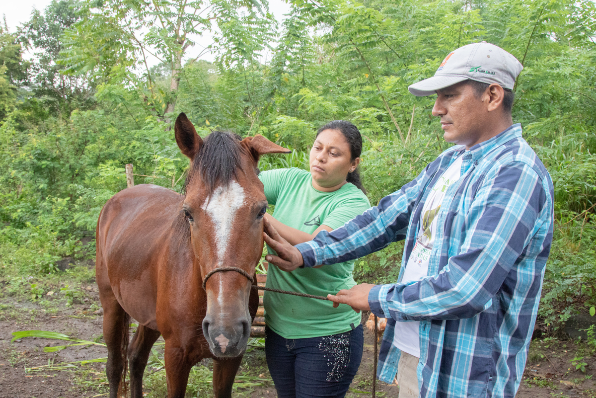 Owner and Brooke representative tend to horse in Nicaragua