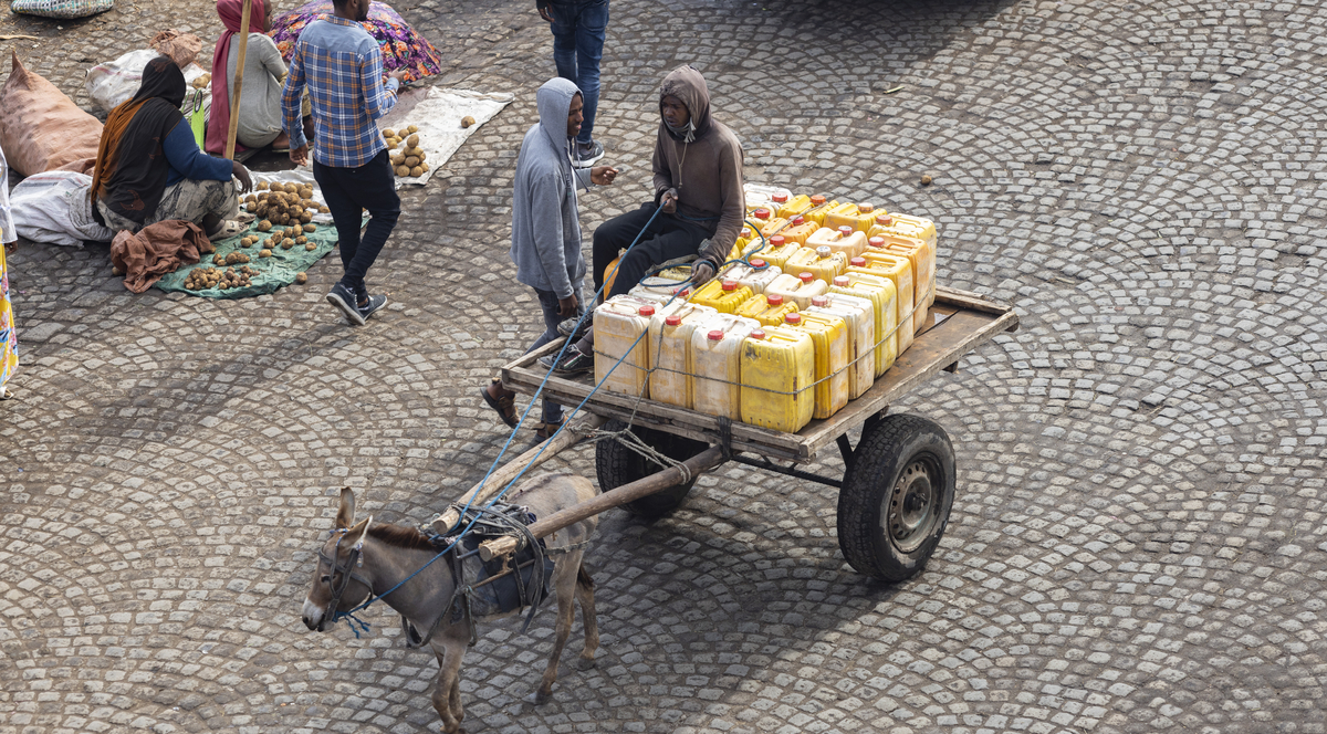 Donkey pulls cart of jerrycan water led by man