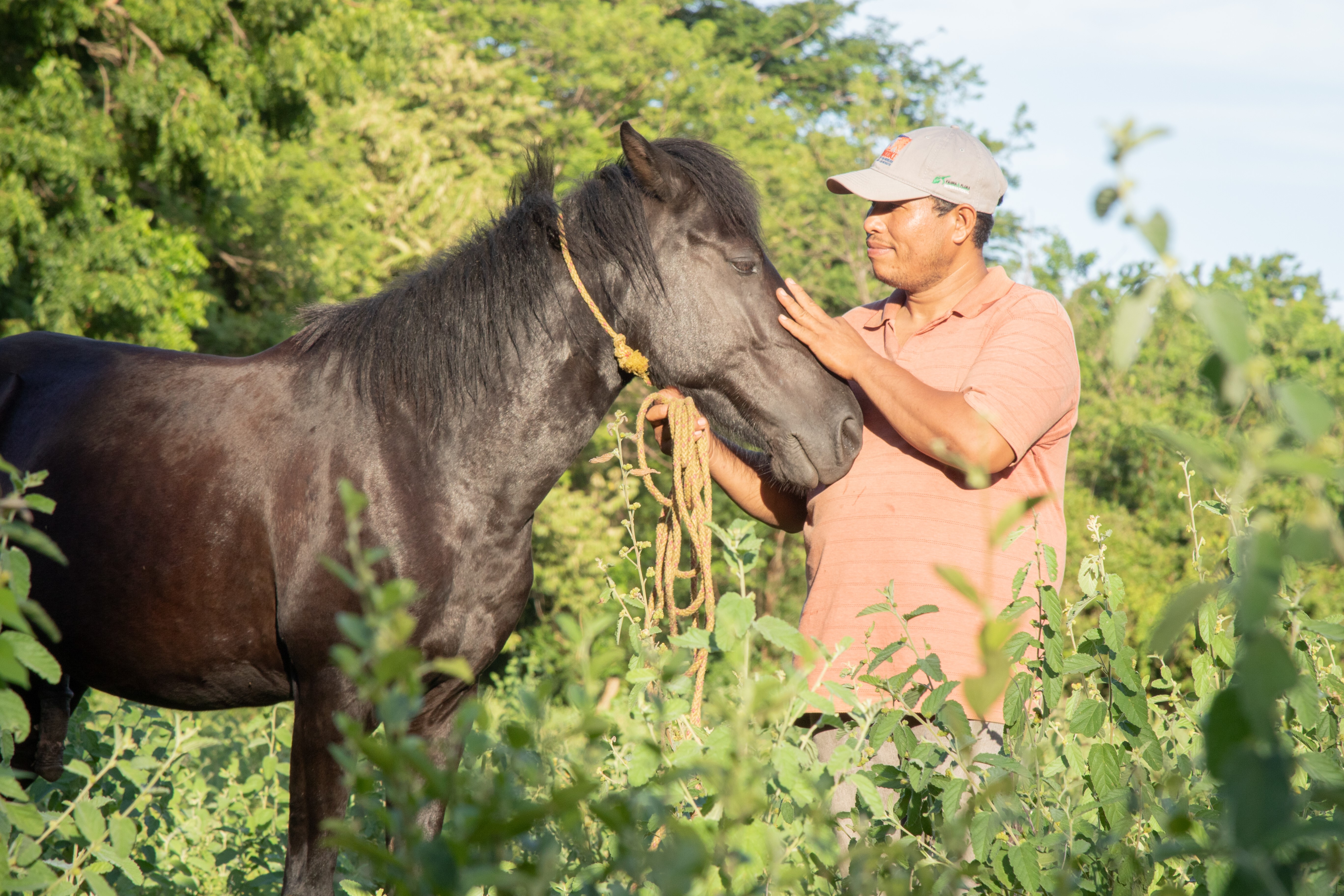 Man and horse in Nicaragua