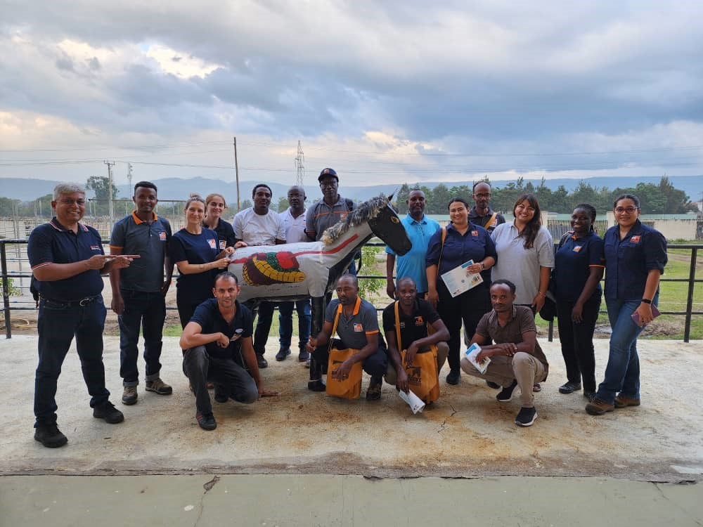 Brooke vets at Hawassa University clinical skills lab in Ethiopia.