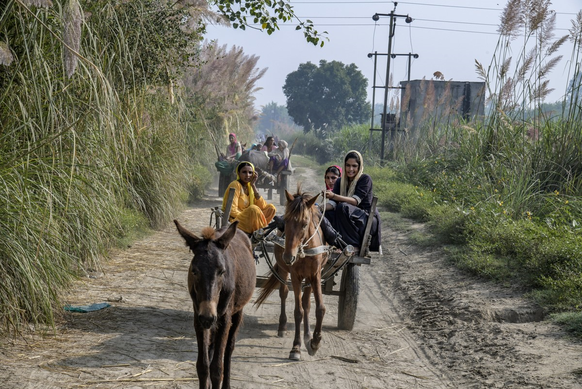 Horse pulls cart for women in India 