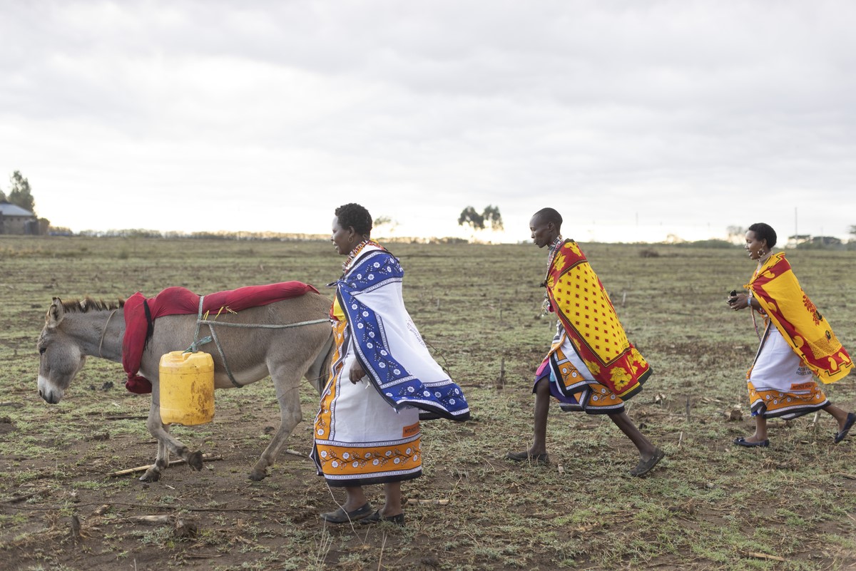 Women's donkey welfare group carrying water with donkeys in Kenya
