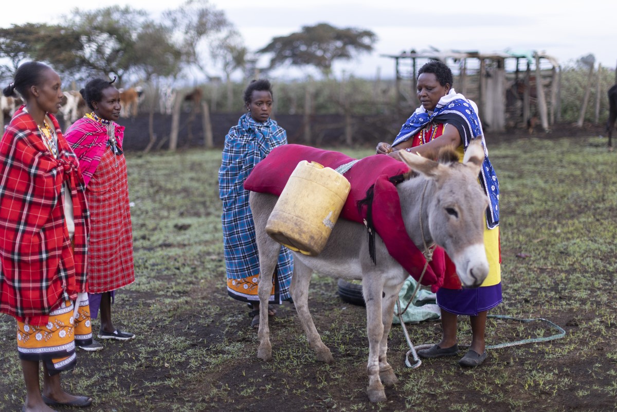 Women's donkey welfare group loading water onto donkeys in Kenya
