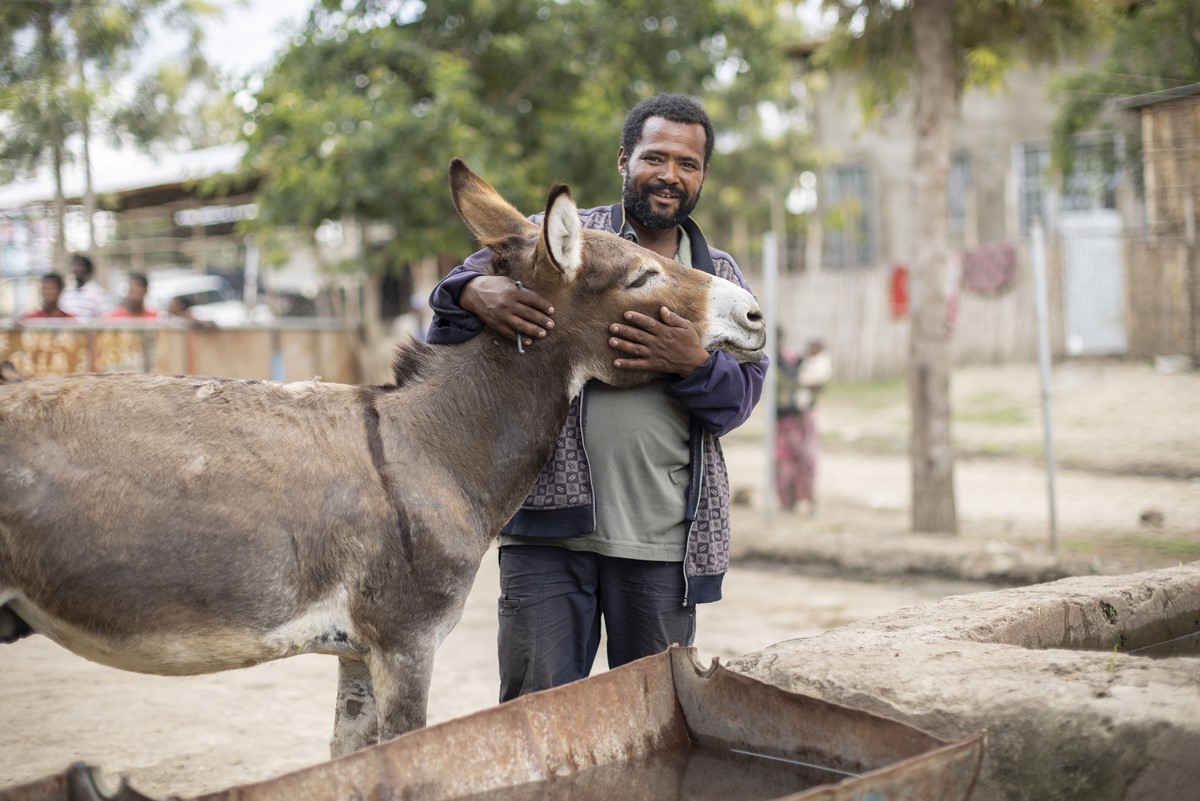 Donkey rests head on owner in Ethiopia