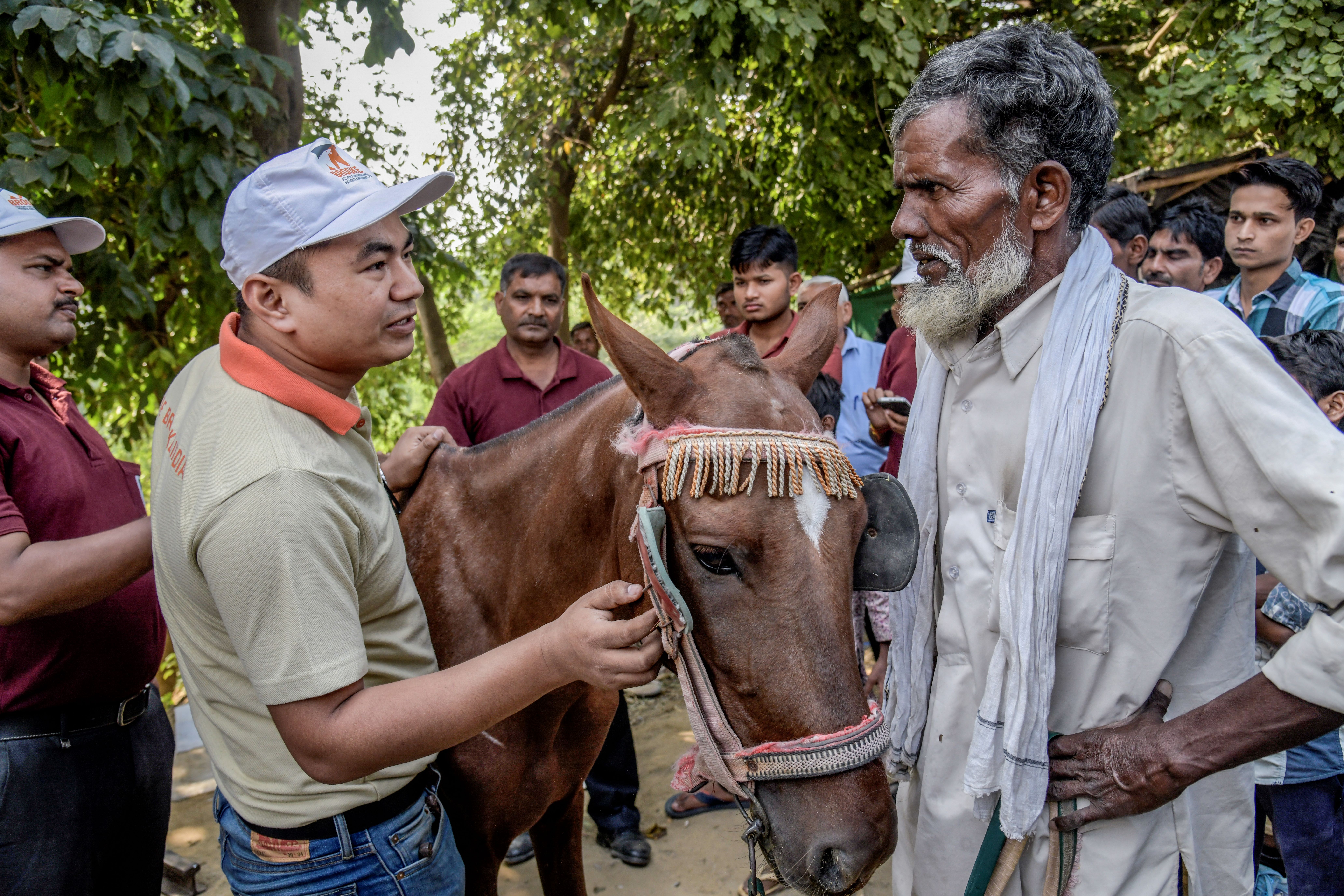 Brick kiln worker with horse in India