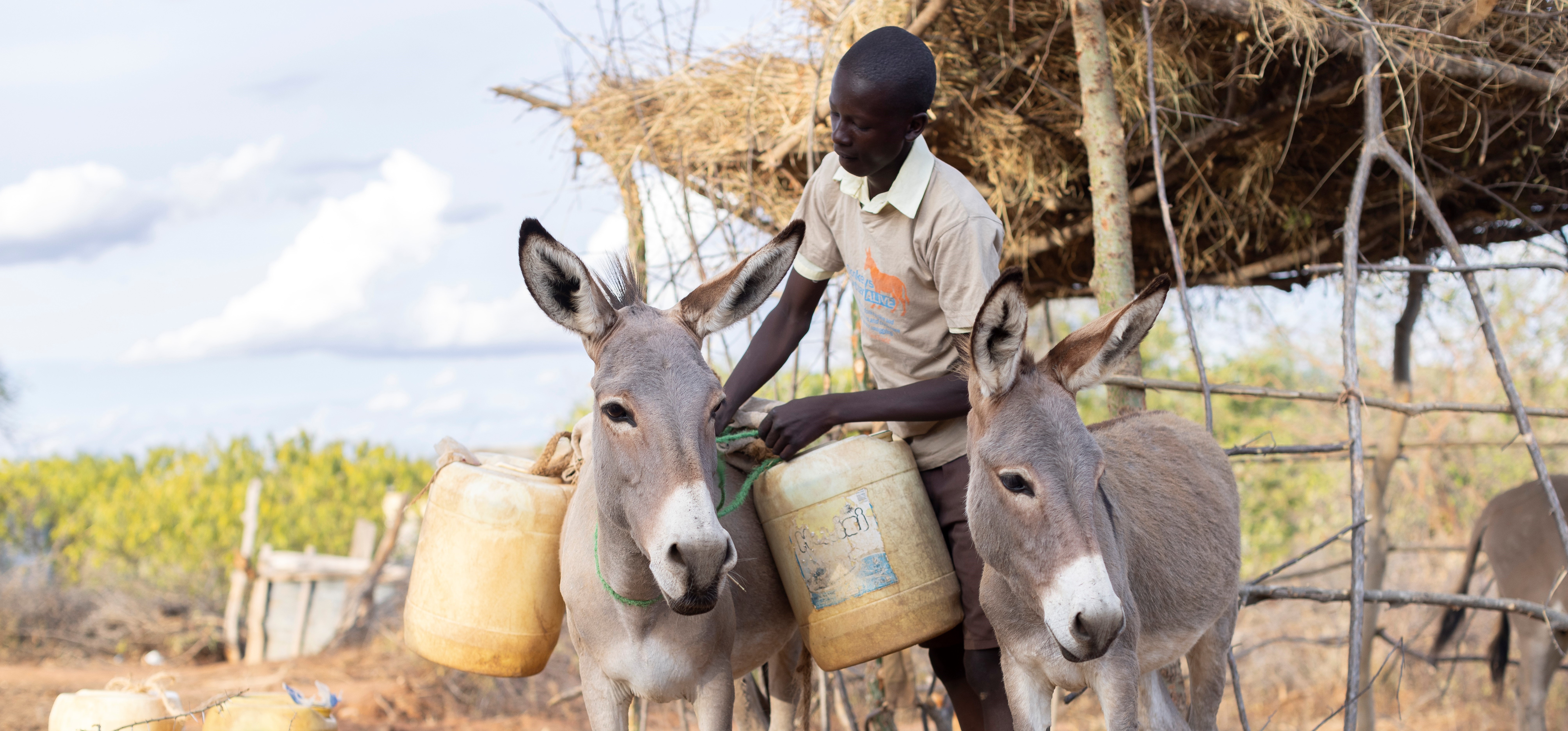 Boy and donkeys carry water in Kenya