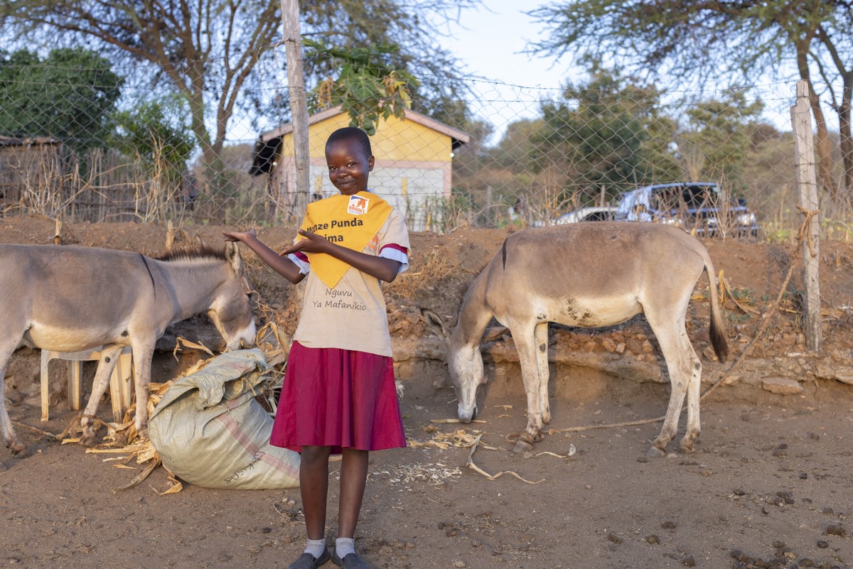 Student with donkeys at Kenyan donkey care club