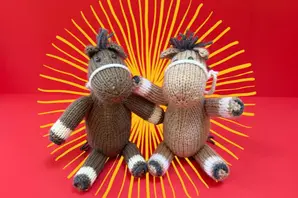 Get your Brooke Craft pack and help working donkeys mules and horses