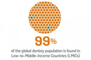 Brooke Working animal research and policy