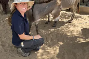 Dr Laura Skippen, wearing a navy blue t-shirt and Brooke sun hat, crouches down and makes friends with a donkey foal