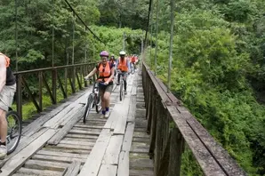 Cyclists travelling over bridge