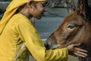 Girl and foal