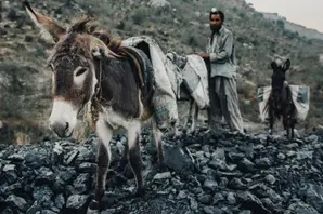 Coal mines summary pic