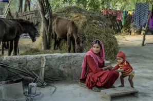 India Qalandar (large).jpg