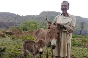 One Health nexus blog large.jpg