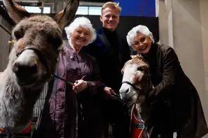 annette-scott-angela-donkeys.jpg