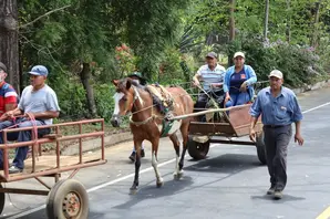 Horse pulls cart in Nicaraguan disaster simulation
