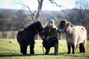 Hannah Russell at Yorkshire farm with ponies