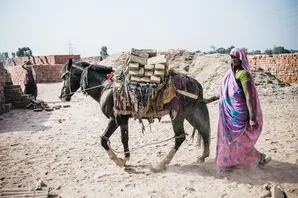 Woman and horse in Indian brick kiln 