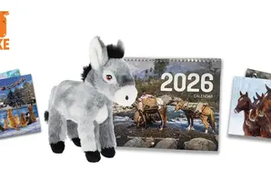 A range of Brooke Christmas gifts including a grey donkey soft toy, a Christmas card and a calendar