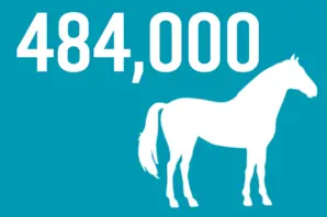 Infographic: 484K horses Britain lost in WW1