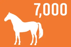 Infographic: 7K horses lost in a single day during the Battle of Verdun