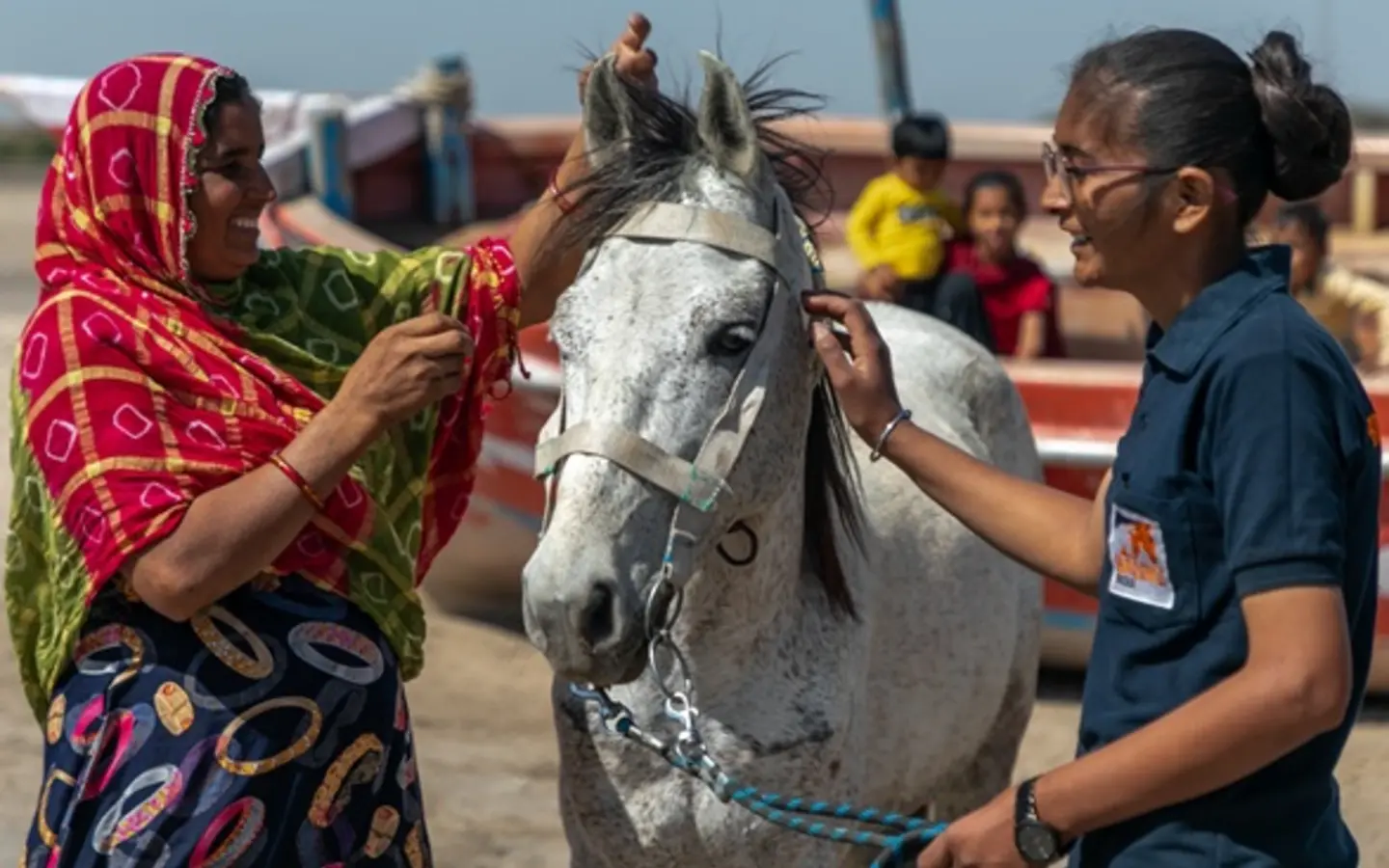 Safura and Varja help a white horse with their harnessing.