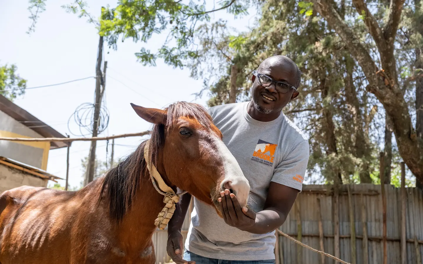Vincent, an animal welfare officer and vet, stands with a brown horse while wearing a grey Brooke t-shirt with an orange logo