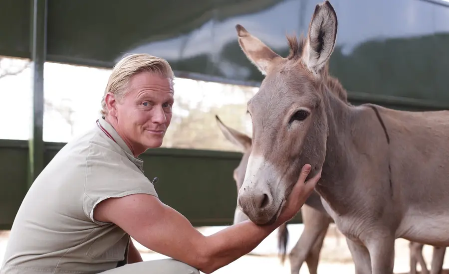 Dr Scott, wearing a beige shirt, crouches down and reaches out to a donkey.