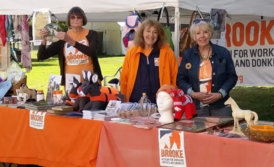 Brooke organise your own fundraising