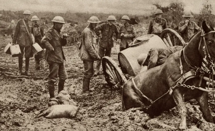 British horse sunk in mud large.jpg