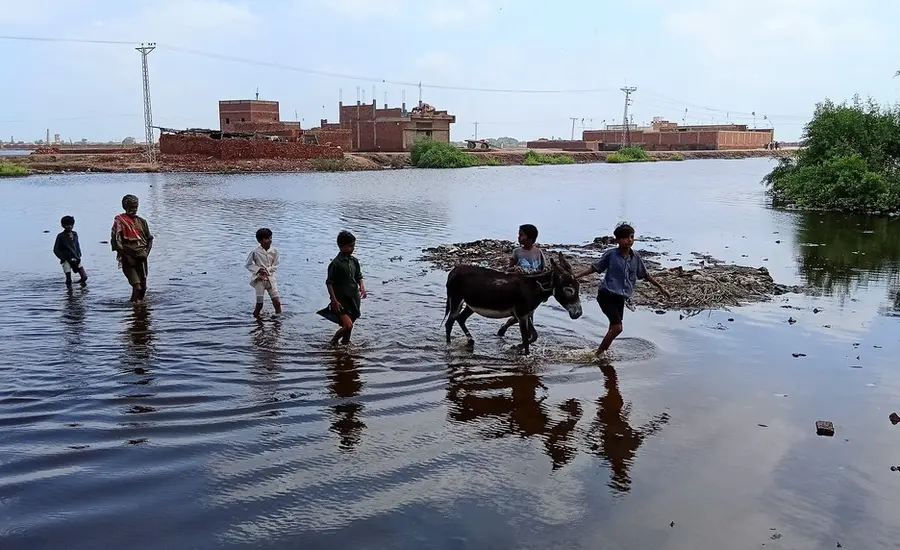 Flood impact and relief work in Hyderabad