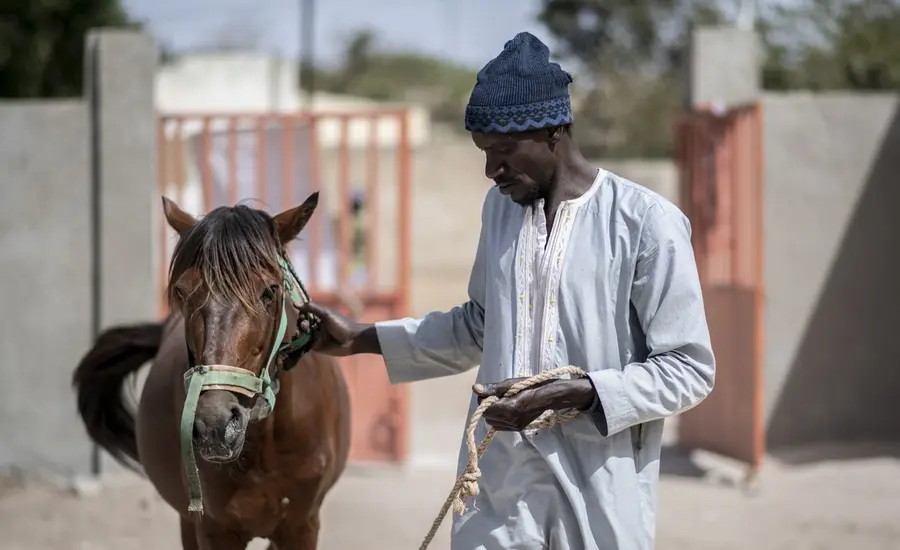 Horse and owner in Senegal