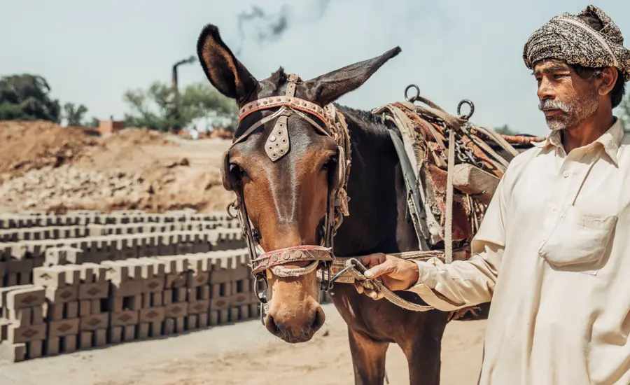 A man stands with a horse at a brick kiln in Pakistan