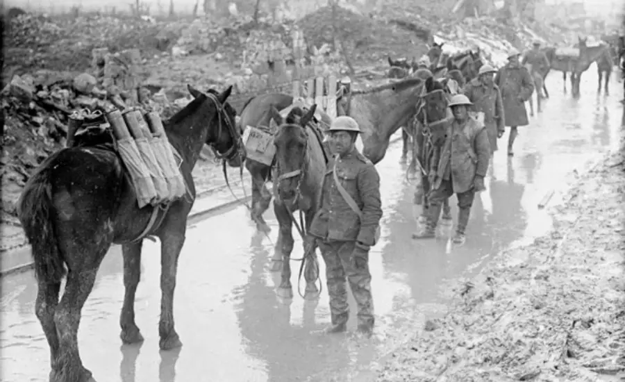Working animals and soldiers in World War One