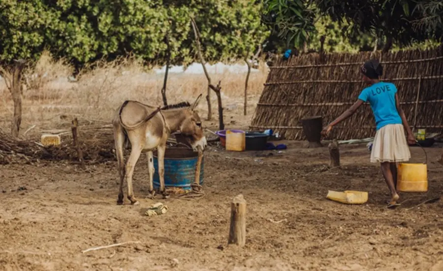 Diyenaba and Laura the donkey standing together outside