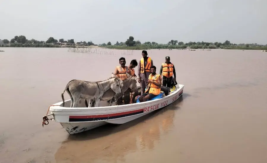 Donkeys and people on boat during Pakistan floods