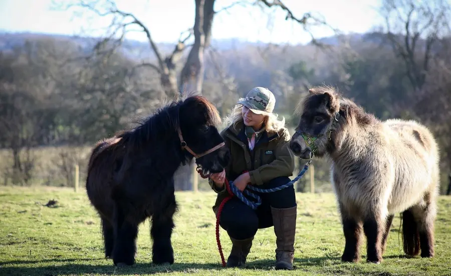Hannah Russell at Yorkshire farm with ponies