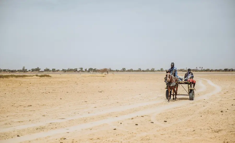 Horse pulls cart in Senegal