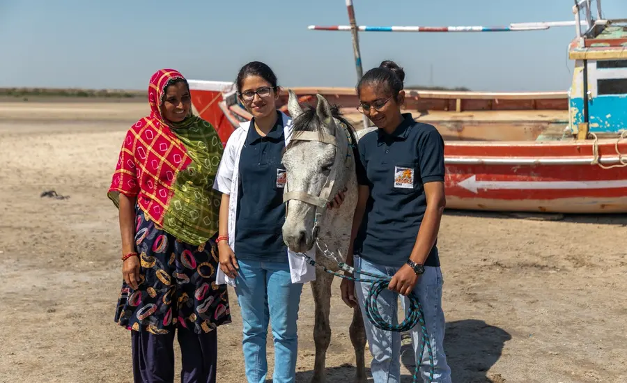 Woman and Brooke staff with horse in India
