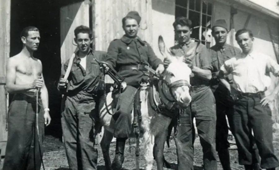 French soldiers with a donkey during WWII.