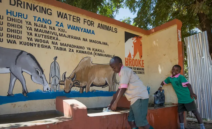 Children gather water from a trough in Kenya