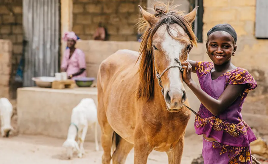 A young woman with her horse
