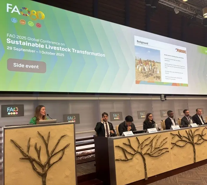 Laura Skippen stands on a wooden podium with a tree on it and speaks at a conference. She's stood in front of a screen and there are seven people seated on a wooden bench to the right.