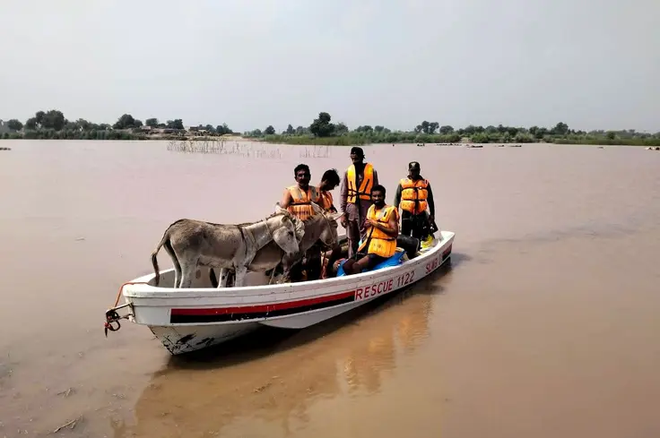 Hazards such as droughts and floods can have devastating effects on daily life, putting both people and animals at risk. Many communities depend on working horses, donkeys and mules to support their livelihoods. For example, to fetch water, transport people and carry goods and produce to market.  When disasters happen, these essential animals are often placed under extreme pressure, threatening the wellbeing of the animals and the families who rely on them.