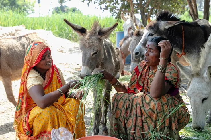 Rani and Sangita crouch down on the ground and feed green leaves to a donkey, who stands between them