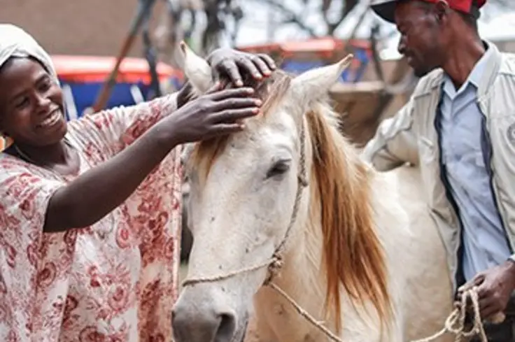 Give £10 a month to provide treatment, protection and training all year round and join Brooke’s Neighbourhood, a community of like minded animal lovers.
